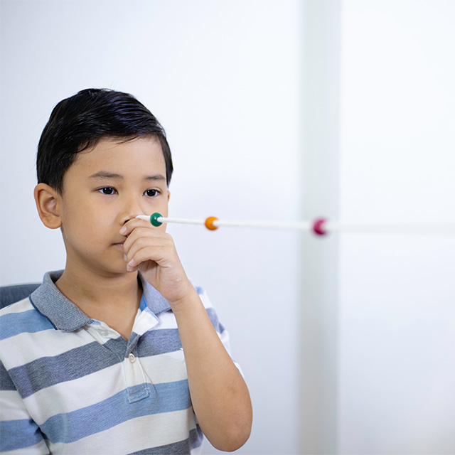 Vision Therapy in Laurie